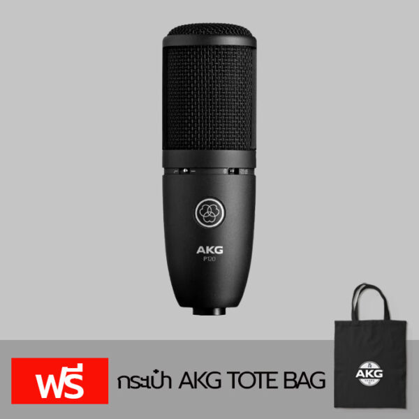 AKG  P120 Condenser Microphone