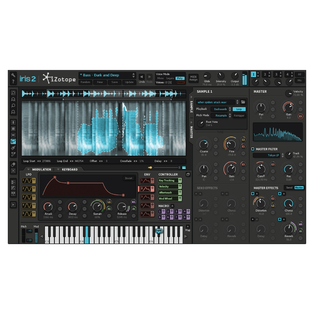 Iris store 2 synth