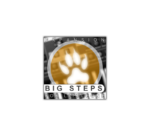 XHUN Audio Big Steps Expansion for LittleOne