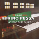 Soundiron Principessa – Vintage Welson Synth Organ Instrument