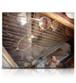 Soundiron Cathedral of Junk – Junk Percussion & Sound Design Library