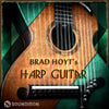 Soundiron Brad Hoyt’s Harp Guitar – Acoustic Harp Guitar Library
