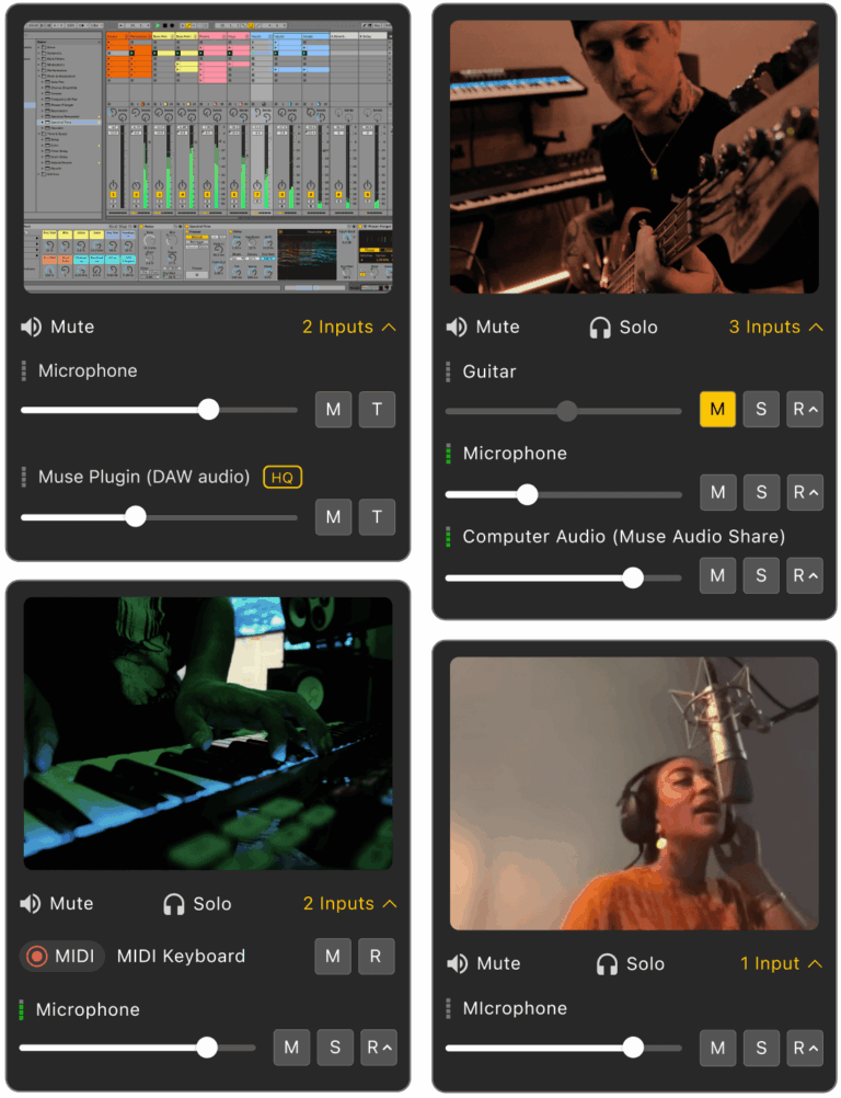 Muse Sessions Pro Flex Plugin (1 Year)